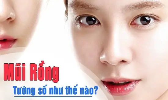 Mũi Rồng Tướng Số Mũi Rồng Tướng Số