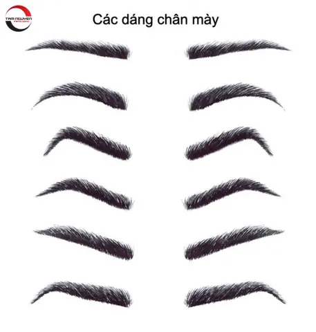 Nam Tướng Lông Mày Ngang Nhọn