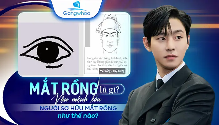 Người Có Tướng Mắt Rồng