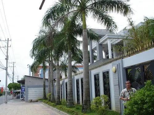 Nhà Thờ Nguyễn Tấn Dũng Nhà Thờ Nguyễn Tấn Dũng