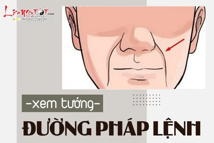 Pháp Lệnh Là Gì Tướng Số
