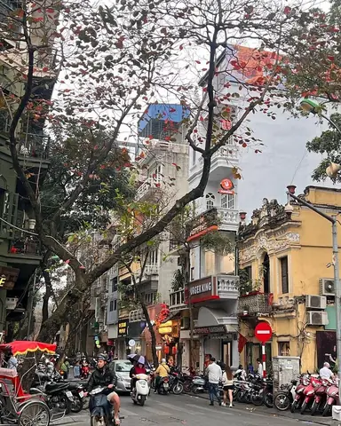 Phố Nhà Thờ Phố Nhà Thờ