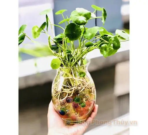 Phong Thủy Bát Tự Nhân Tướng Học Blog