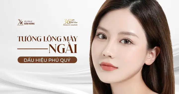 Phong Thủy Phù Sơn Và Tướng Chủ