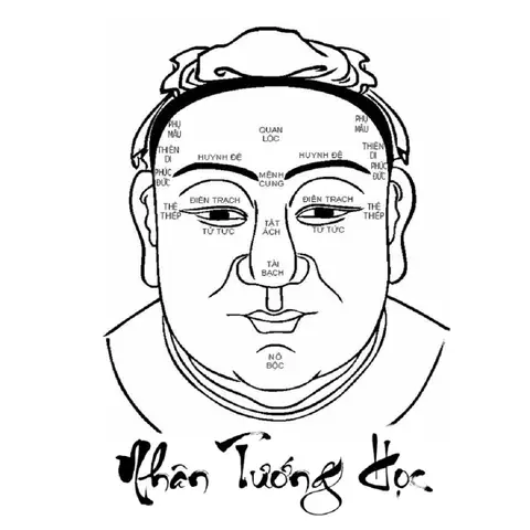Phong Thủy Tướng Mặt Phong Thủy Tướng Mặt
