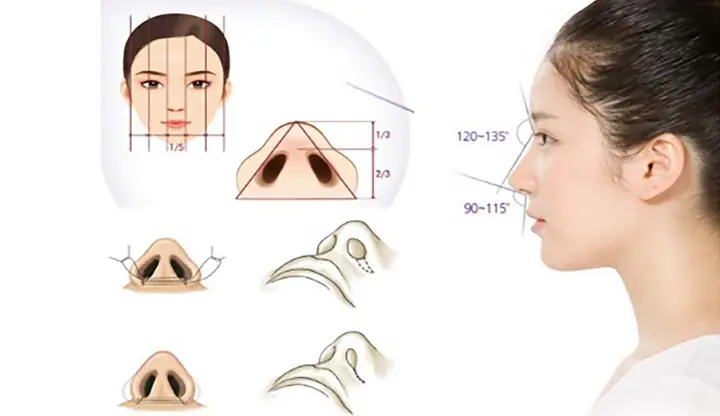 Phong Thủy Tướng Pháp Có Liên Quan Gì