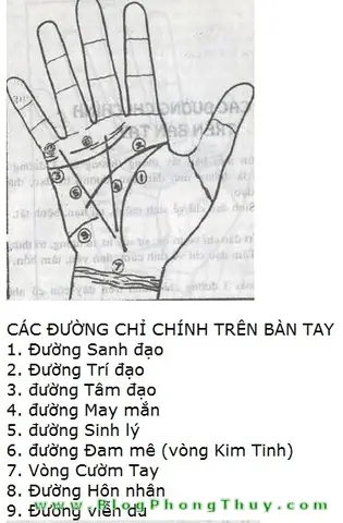 Phong Thủy Xem Tướng Số