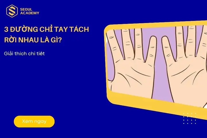 Phong Thủy Xem Tướng Số Phong Thủy Xem Tướng Số