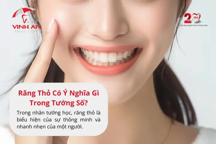 Răng Thỏ Tướng Số Răng Thỏ Tướng Số