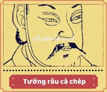 Râu Cá Trê Tướng Số Râu Cá Trê Tướng Số