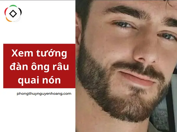 Râu Quai Nón Tướng Số Râu Quai Nón Tướng Số