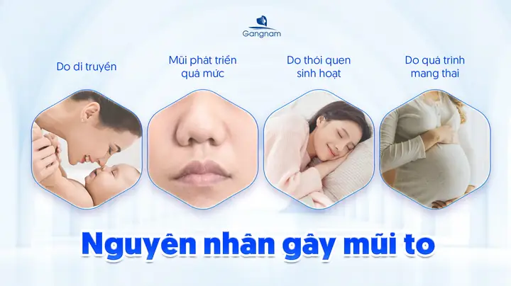 Thoi Quen So Mũi Tướng Số Thoi Quen So Mũi Tướng Số