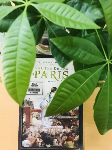 Tóm Tắt Nhà Thờ Đức Bà Paris