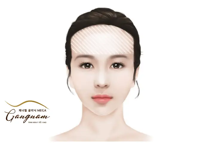 Trán Dô Tướng Số