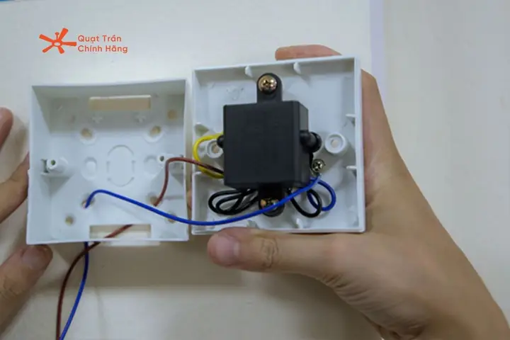 Trán Hóp 2 Bên Tướng Số