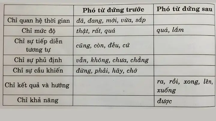 Tù Là Như Thế Nào Trong Tướng Số