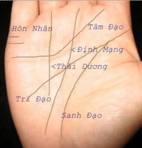 Tử Vi Tướng Số Chỉ Tay