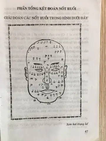 Tử Vi Tướng Số Trọn Đời