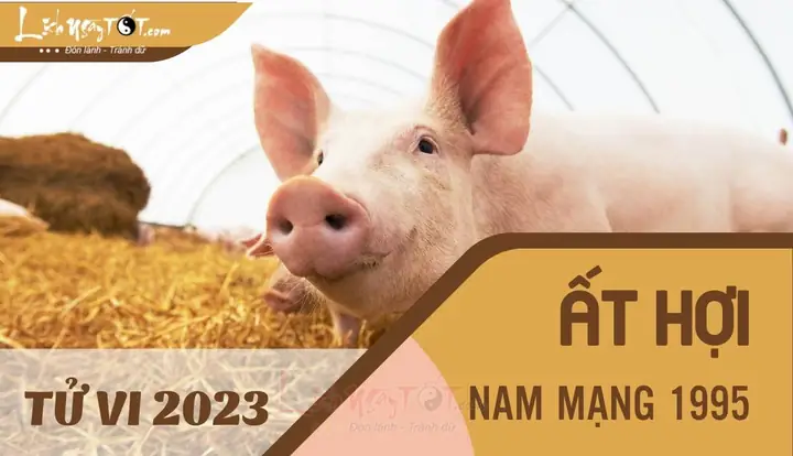 Tử Vi Tướng Số Tuổi Ất Hợi