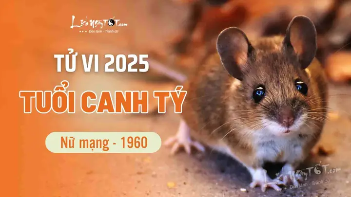 Tử Vi Tướng Số Tuổi Canh Tý