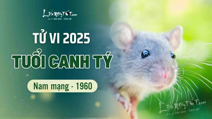 Tử Vi Tướng Số Tuổi Canh Tý