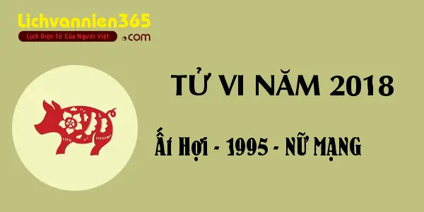 Tử Vi Tướng Số Tuổi Quý Hợi Năm 2018