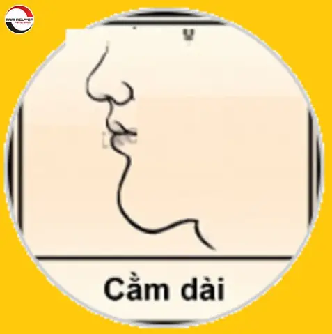 Tướng Cằm Đàn Ông