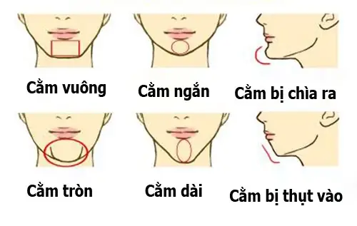 Tướng Cằm Nhô Xương Tướng Cằm Nhô Xương
