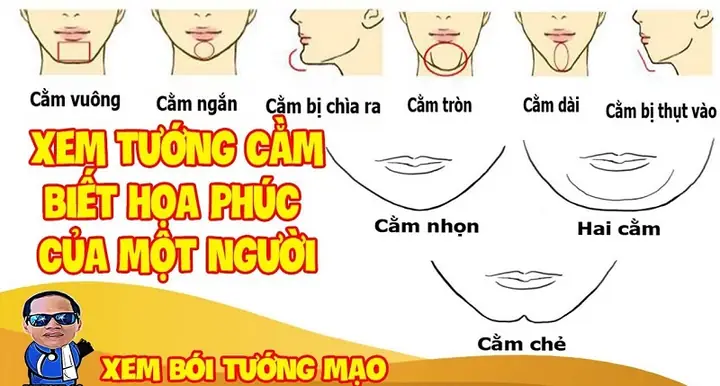 Tướng Cằm Phụ Nữ Tướng Cằm Phụ Nữ