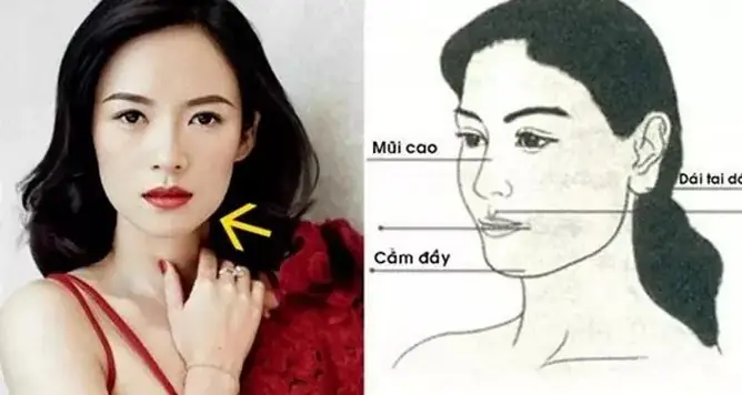 Tướng Cằm Phú Quý Của Phụ Nữ Tướng Cằm Phú Quý Của Phụ Nữ