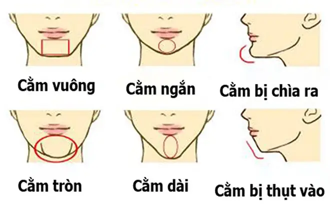 Tướng Cằm Tốt Của Phụ Nữ