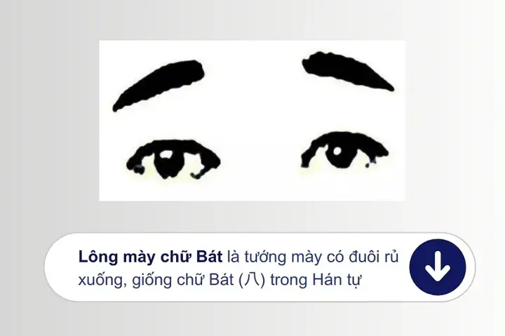 Tướng Chân Mày Chữ Â Tướng Chân Mày Chữ Â