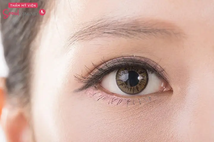Tướng Chân Mày Gần Sát Mắt