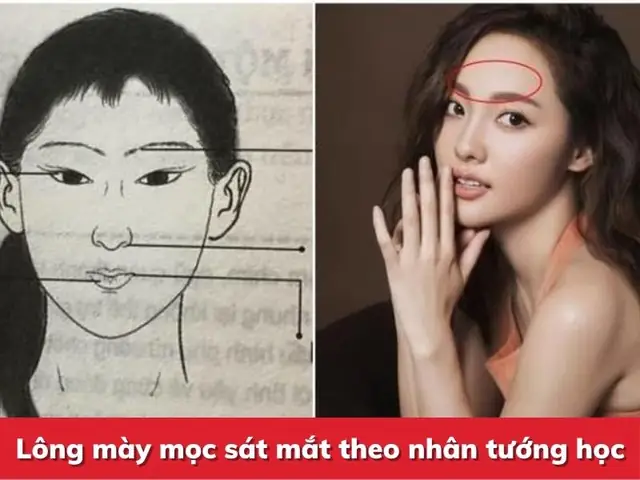 Tướng Chân Mày Gần Sát Mắt