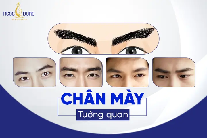Tướng Chân Mày Giàu Có