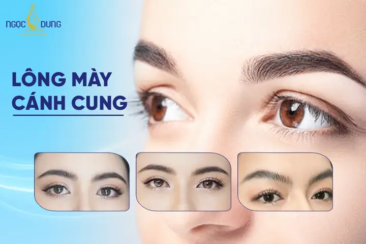 Tướng Chân Mày Hình Cánh Cung Nhẹ