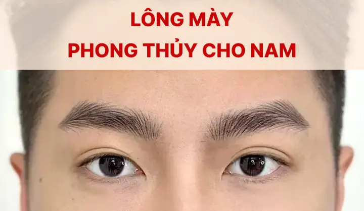 Tướng Chân Mày Nam