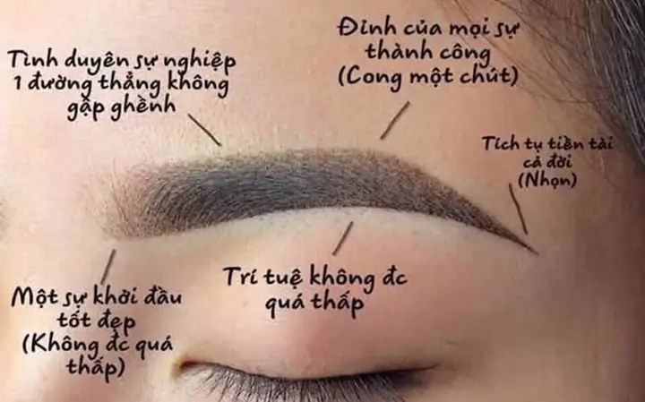 Tướng Chân Mày Phú Quý