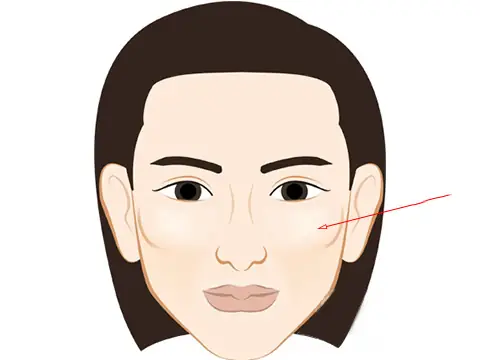 Tướng Gò Má Đầy Đặn Tướng Gò Má Đầy Đặn