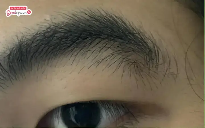 Tướng Lông Mày Có Xoáy