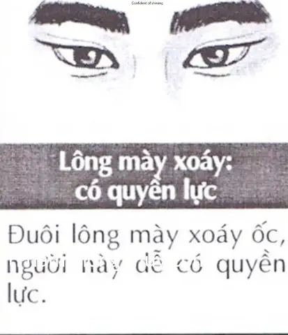 Tướng Lông Mày Có Xoáy Tướng Lông Mày Có Xoáy
