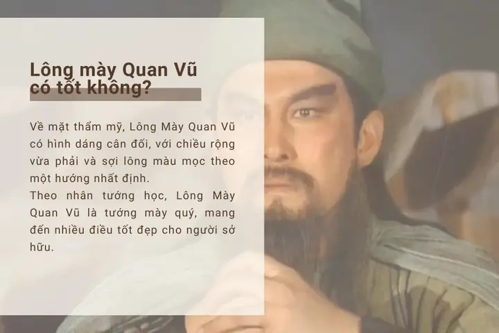 Tướng Lông Mày Cong