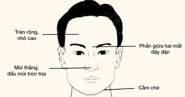 Tướng Lông Mày Đàn Ông Chung Thủy
