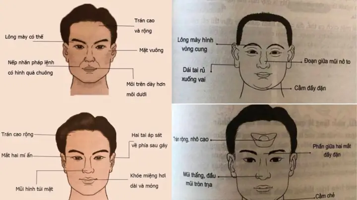 Tướng Lông Mày Đàn Ông Chung Thủy