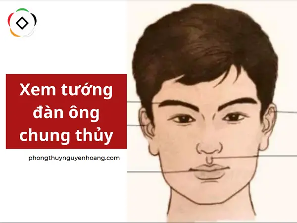 Tướng Lông Mày Đàn Ông Chung Thủy