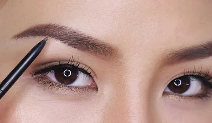Tướng Lông Mày Đầu Đậm Đuôi Nhạt