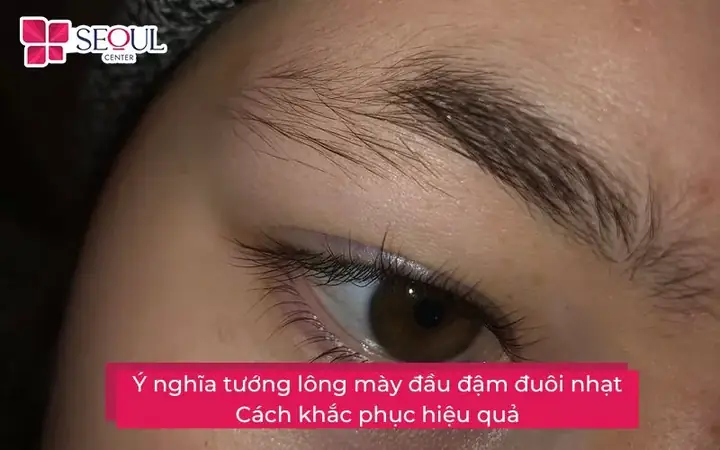 Tướng Lông Mày Đầu Đậm Đuôi Nhạt