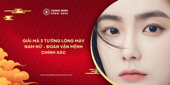 Tướng Lông Mày Đoán Vận Mệnh Tướng Lông Mày Đoán Vận Mệnh