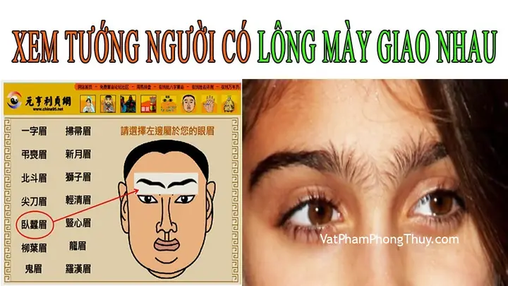 Tướng Lông Mày Giao Nhau Nam Giới