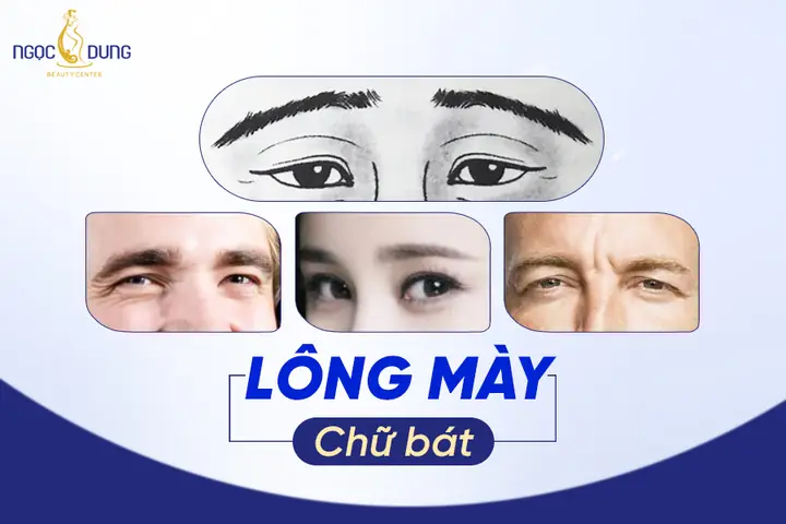 Tướng Lông Mày Hình Chữ Bát